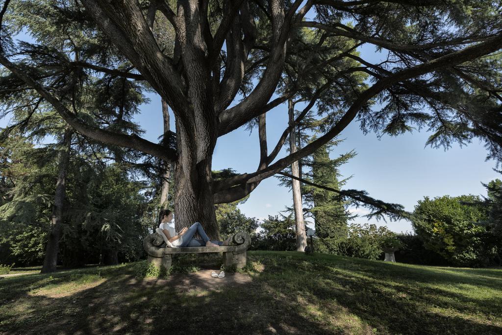 Posta Donini 1579 - Una Esperienze San Martino In Campo Buitenkant foto